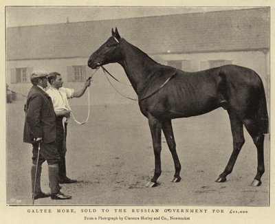Galtee More, Sold to the Russian Government for £21,000 by English Photographer
