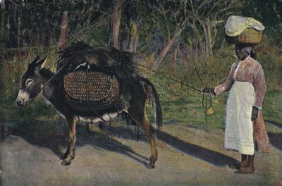 Going to Market, Jamaica by English Photographer