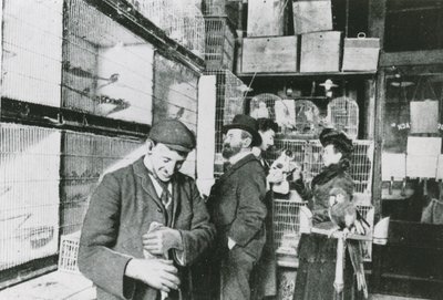 Great Portland Street pet shop by English Photographer