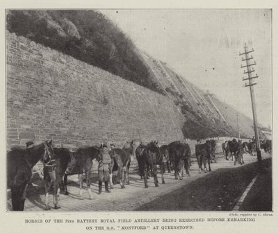 Horses of the 79th Battery Royal Field Artillery Being Exercised Before Embarking on the SS Montford at Queenstown by English Photographer