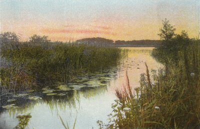 Hoveton Broad by English Photographer