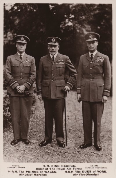 King George V, the Prince of Wales and the Duke of York in Air Force Uniform by English Photographer