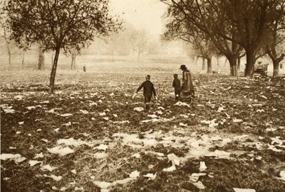 Litter-strewn grass on Hampstead Heath the day after a Bank Holiday, from Wonderful London, published 1926-27 by English Photographer