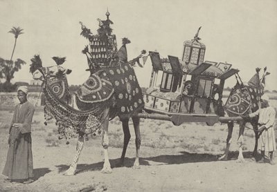Marriage ceremony in Cairo by English Photographer