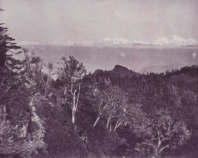 Mount Everest, from Sandakphoo, Darjeeling by English Photographer