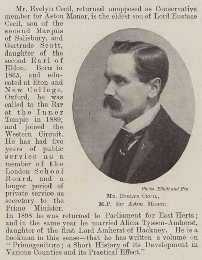 Mr Evelyn Cecil, MP for Aston Manor by English Photographer