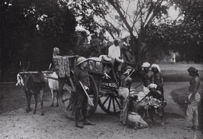 Mr G P Owen and a Singapore Tiger by English Photographer