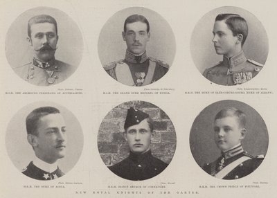 New Royal Knights of the Garter by English Photographer