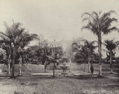 Palms and Fountain, Botanical Gardens, Brisbane by English Photographer
