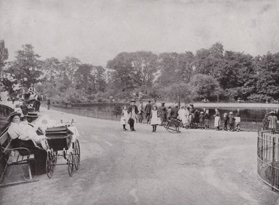 Peckham Park by English Photographer