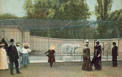 People visiting the polar bear enclosure at London Zoo by English Photographer