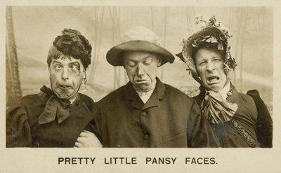 Pretty Little Pansy Faces by English Photographer