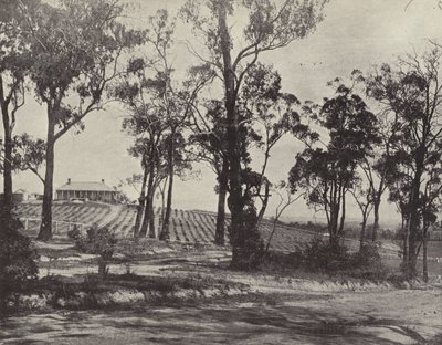 Scene on the Gembrook Road, Victoria by English Photographer