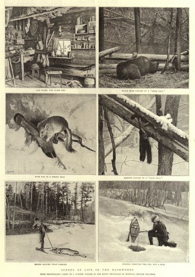 Scenes of Life in the Backwoods by English Photographer