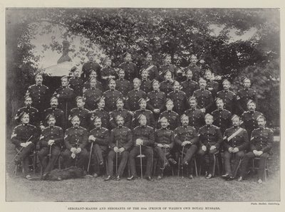 Sergeant-Majors and Sergeants of the 10th (Prince of Wales