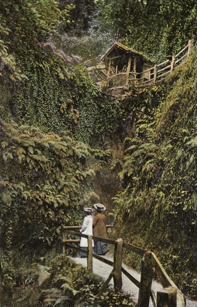 Shanklin Chine by English Photographer