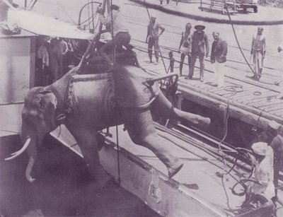 Shipping an Elephant, Rangoon by English Photographer
