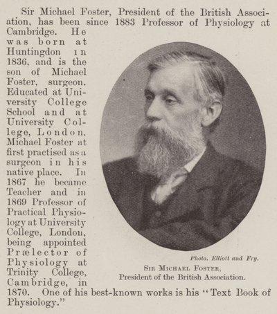 Sir Michael Foster, President of the British Association by English Photographer