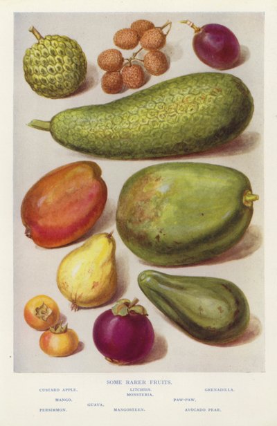 Some rarer fruits by English Photographer