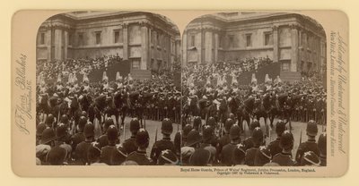 Stereographic Print of Queen Victoria