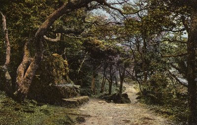 Stone Seat, the Landslip by English Photographer
