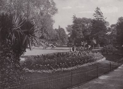 Sub-Tropical Gardens, Battersea Park by English Photographer