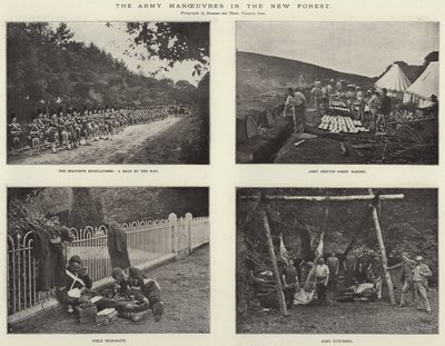 The Army Manoeuvres in the New Forest by English Photographer