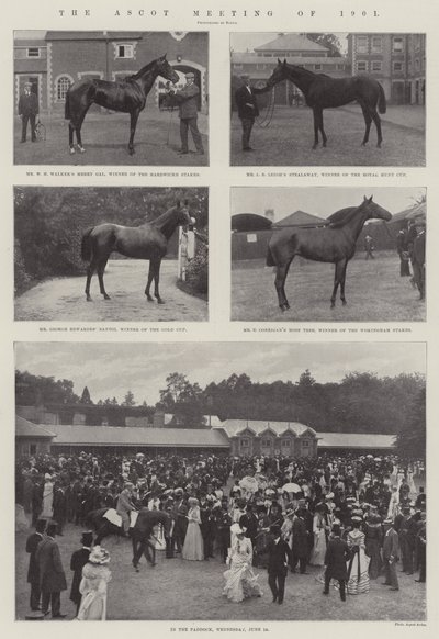 The Ascot Meeting of 1901 by English Photographer