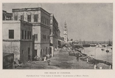 The Beach at Zanzibar by English Photographer