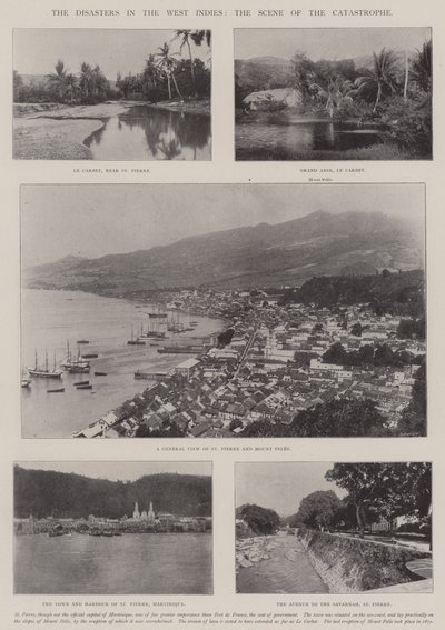 The Disasters in the West Indies, the Scene of the Catastrophe by English Photographer