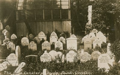 The Dogs Cemetery, Hyde Park, London by English Photographer