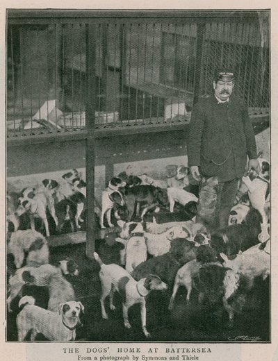 The Dogs Home at Battersea by English Photographer