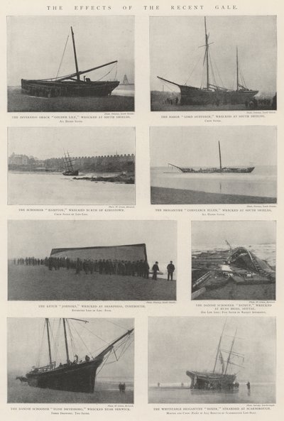 The Effects of the Recent Gale by English Photographer