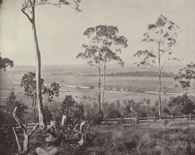 The Emu Plains by English Photographer
