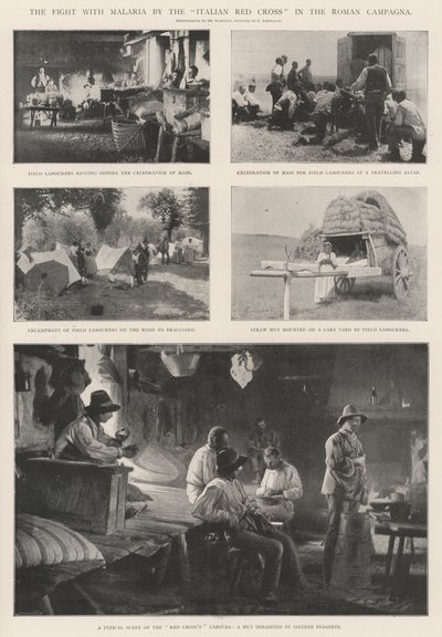 The Fight with Malaria by the Italian Red Cross in the Roman Campagna by English Photographer