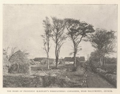 The Home of President McKinley