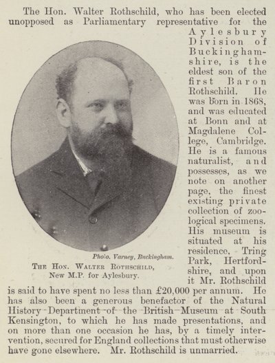 The Honourable Walter Rothschild, New MP for Aylesbury by English Photographer