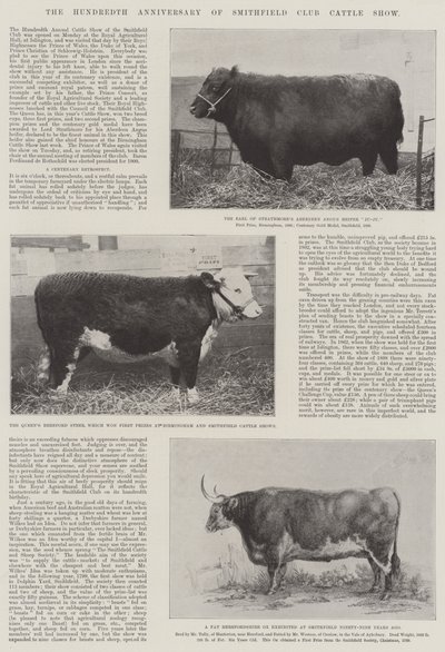 The Hundredth Anniversary of Smithfield Club Cattle Show by English Photographer