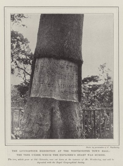 The Livingstone Exhibition at the Westminster Town Hall, the Tree under which the Explorer