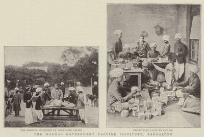 The Madras Government Vaccine Institute, Bangalore by English Photographer