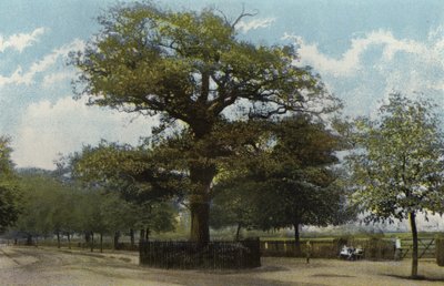 The Midland Oak, Leamington by English Photographer