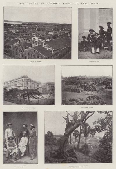 The Plague in Bombay, Views of the Town by English Photographer