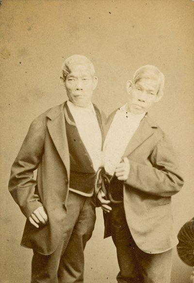 The Siamese Youths; Photograph; Exhibited at the Egyptian Hall, Piccadilly, London by English Photographer