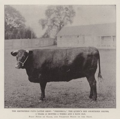 The Smithfield Club Cattle Show, Frederica, the Queen
