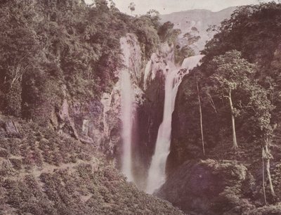 The Twin Falls (Coffee Growing in Foreground), Ceylon by English Photographer