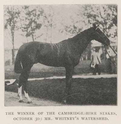 The Winner of the Cambridgeshire Stakes, 30 October, Mr Whitneys Watershed by English Photographer
