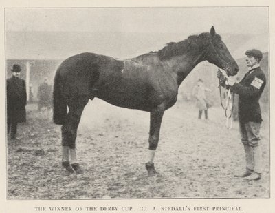 The Winner of the Derby Cup, Mr A Stedall