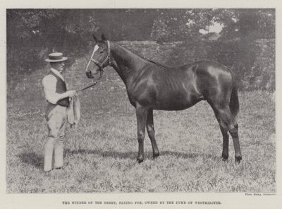 The Winner of the Derby, Flying Fox, Owned by the Duke of Westminster by English Photographer