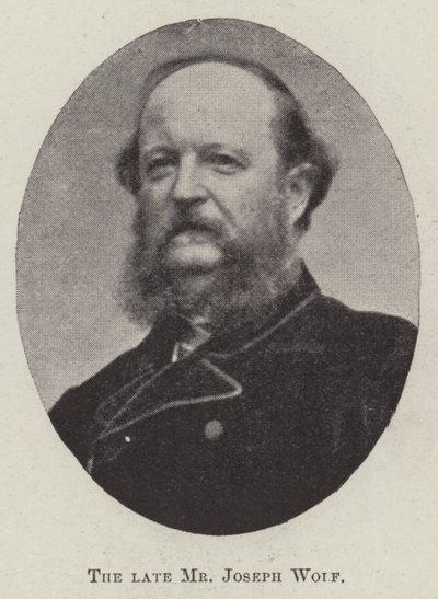 The late Mr Joseph Wolf by English Photographer
