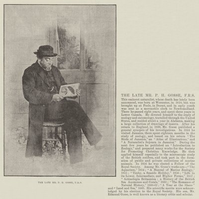 The Late Mr P H Gosse, FRS by English Photographer